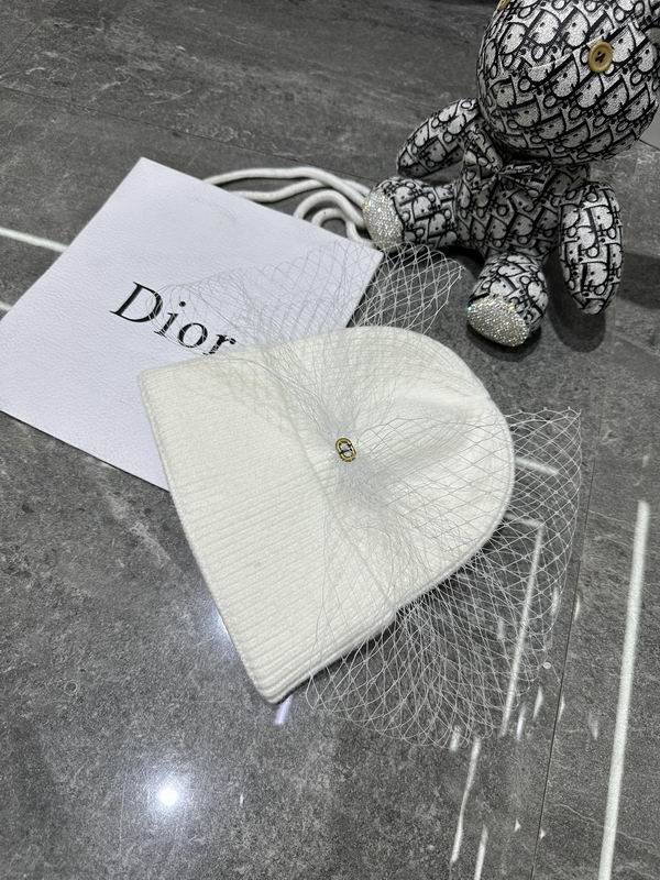 Dior Beanie ID:20260111-64